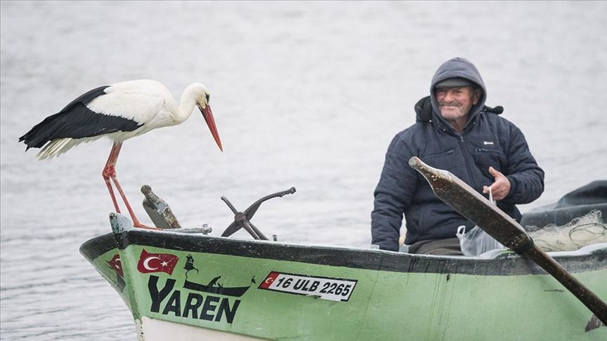 "Yaren" leylek göl manzaralı yuvasının bulunduğu Eskikaraağaç'a 12'nci yılında da geldi