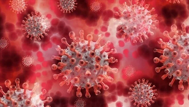 Çin, COVID-19 benzeri ölümcül bir virüsle laboratuvar deneyleri yapıyor