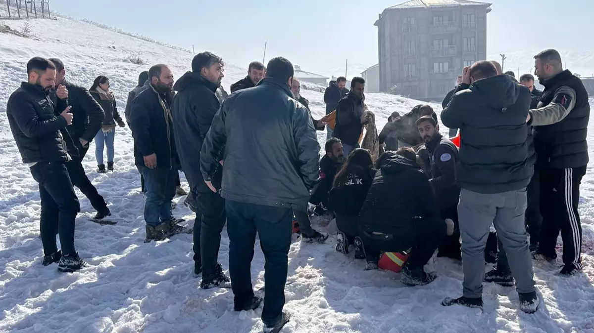 Başıboş köpek dehşeti: 12 yaşındaki kız çocuğu hayatını kaybetti