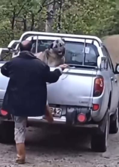 Kamyonette köpeğe halatla şiddet uyguladı, gözaltına alındı