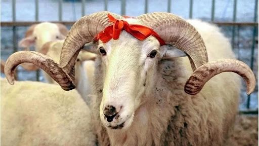 Beklenen karar açıklandı: Bayram tatili süresi umulan gibi olmadı!