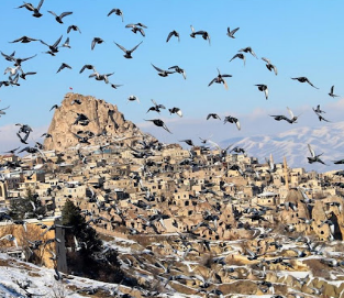 Kapadokya’nın saklı harikası: Güvercinlik Vadisi!