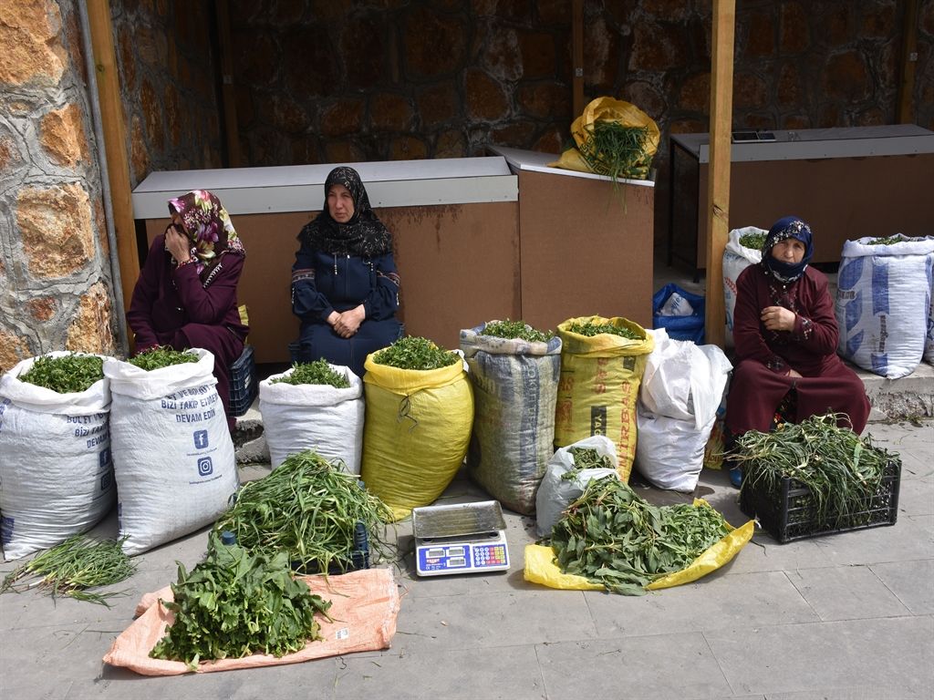 Köy kadınlarının zahmetli 'madımak' mesaisi