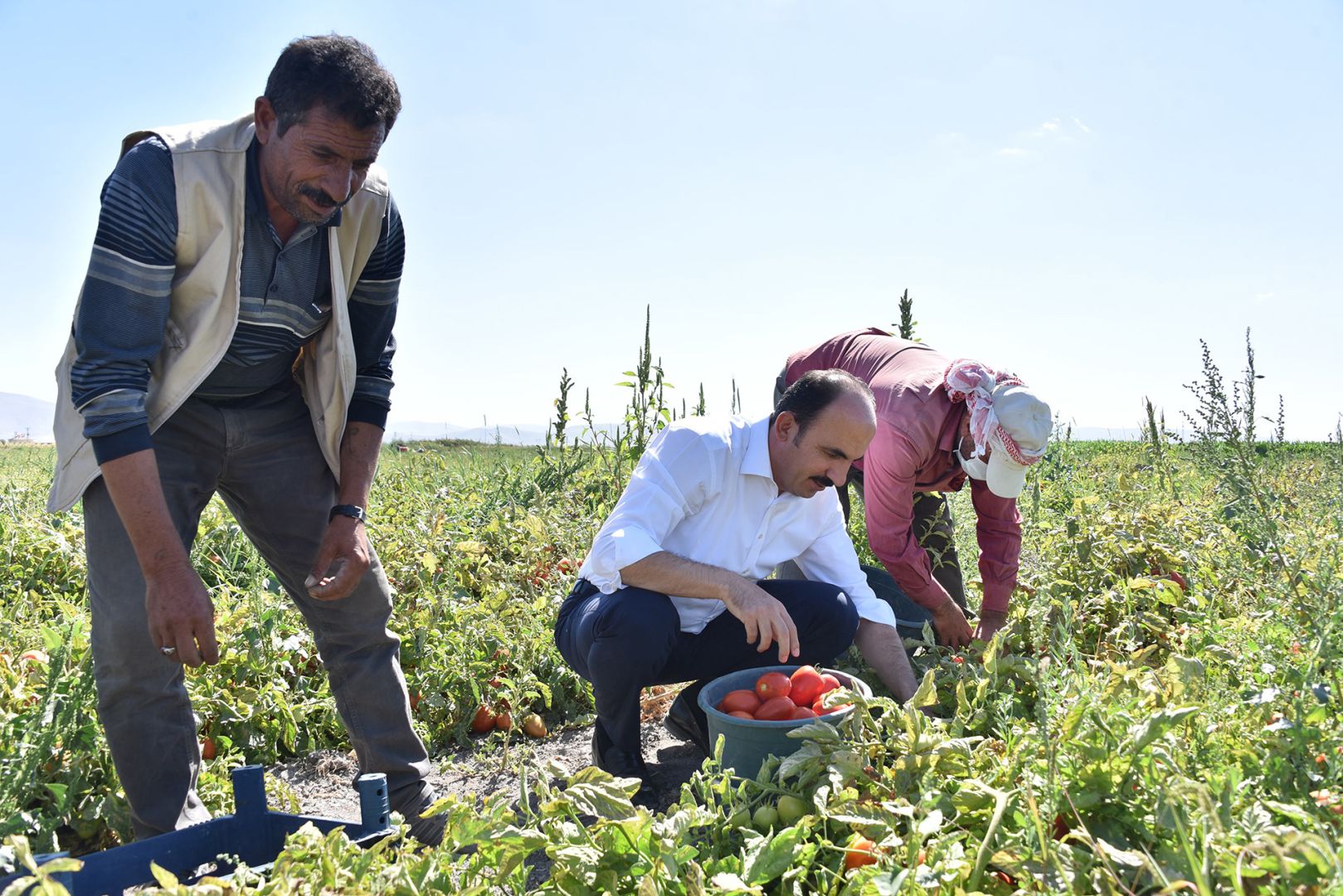 Başkan Altay 2026 Yılı Tarımsal Destek Başvurularının Başladığını Duyurdu