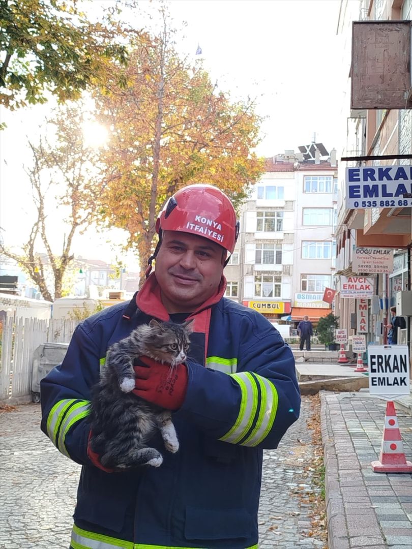 Konya'da ağaçta mahsur kalan kediyi itfaiye ekipleri kurtardı