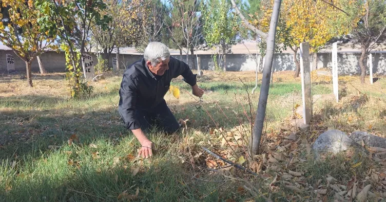 ‘Cennet Kuşlarının’ gönüllü bekçisi: Yeni doğan 40 bebeğin mezarı Hasan amcaya emanet