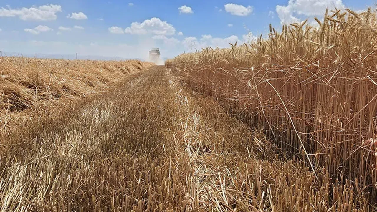 Başkan Altay müjdeli haberi verdi: Konya'da heba olan arazi üretime kazandırıldı!