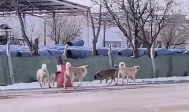 Konya’dan paylaşılan video sosyal medyada gündem oldu: Vatandaş çözüm bekliyor