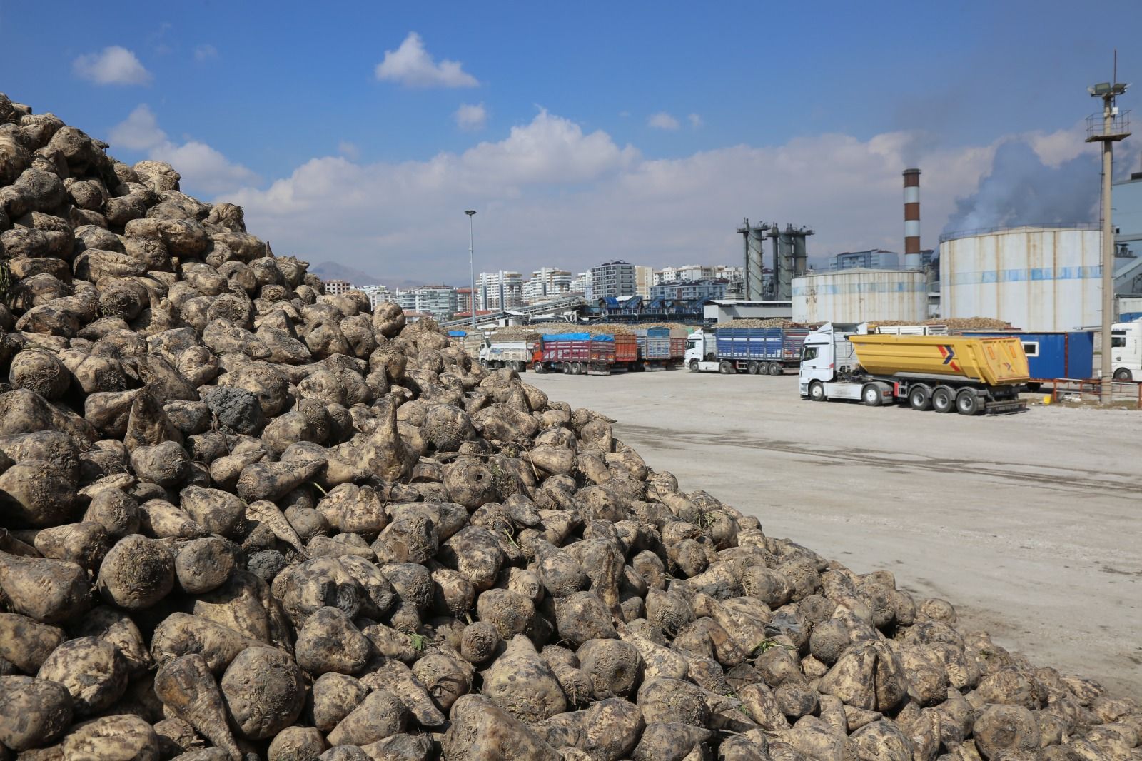 Konya Şeker'den üreticiye 12,7 milyar TL'lik dev destek! 
