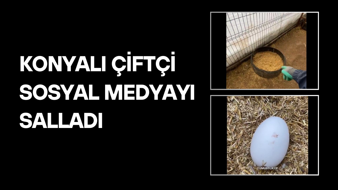Konyalı çiftçi sosyal medyayı salladı: "Maşallah yazmayı unutmayın, nazar değiyor" diye uyardı
