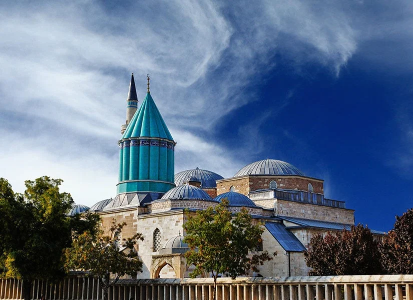 Türkiye’de sadece 3 ilde var: En dikkat çekici türü Konya’da!