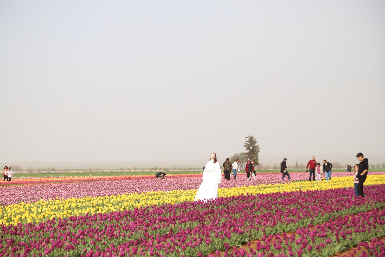 Anadolu’da renk cümbüşü!