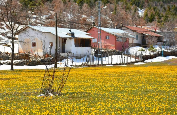 Konya’da yayla turizminin öne çıkan noktası: Bartlı! 