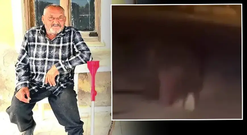 İzmir'de balkonda uyuyan yaşlı adamı sürükleyerek öldürmüştü! Saldırgan ayı 5 gün sonra vuruldu