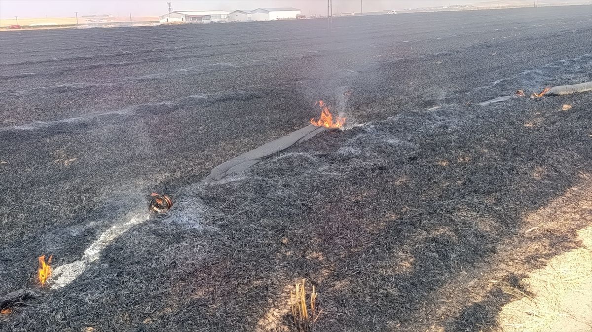 Konya'da tarla yangını söndürüldü
